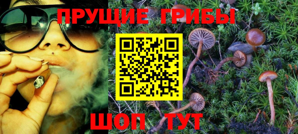 Галлюциногенные грибы мухоморы Чайковский