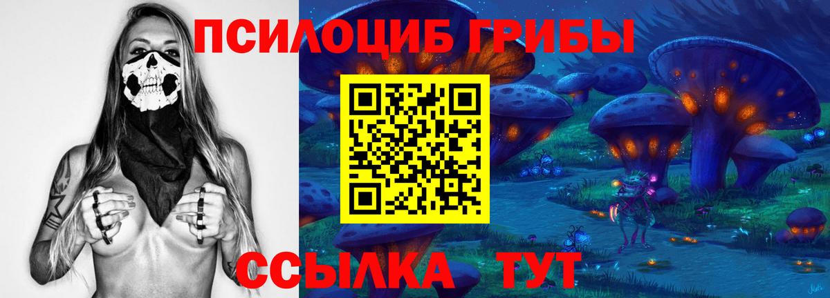 Чайковский  Псилоцибиновые грибы ЛСД  Вход с VPN 